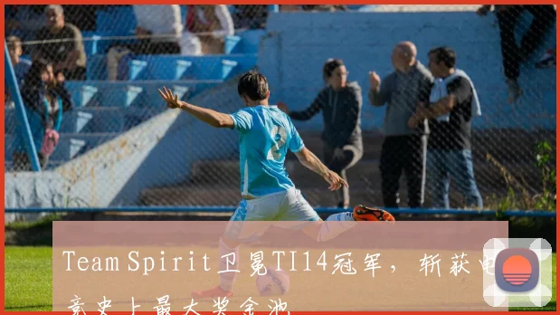 Team Spirit卫冕TI14冠军，斩获电竞史上最大奖金池