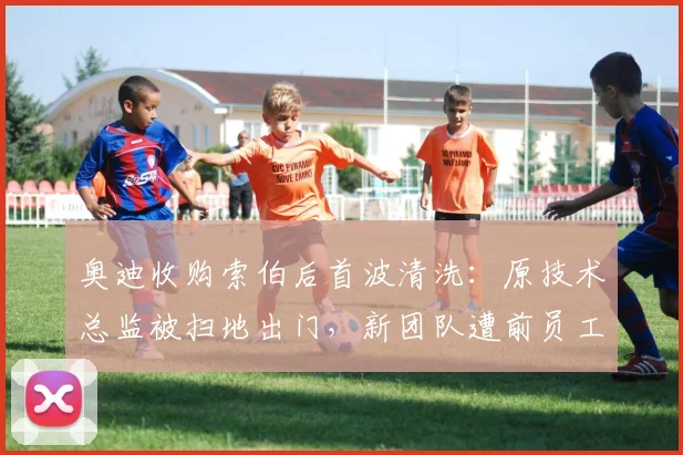 奥迪收购索伯后首波清洗：原技术总监被扫地出门，新团队遭前员工炮轰